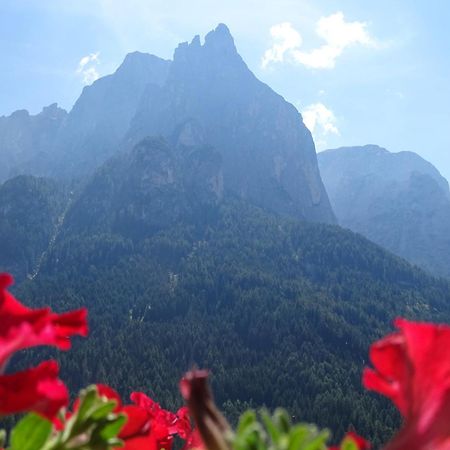 Appartement Schmalzlhof à Alpe di Alpe di Siusi Extérieur photo
